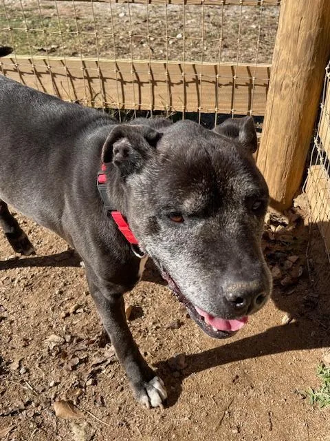 Bill  Af thumbnail 4