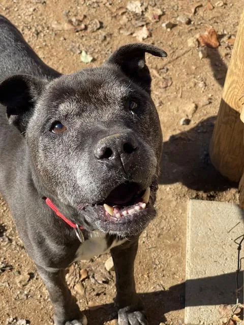 Bill  Af thumbnail 5