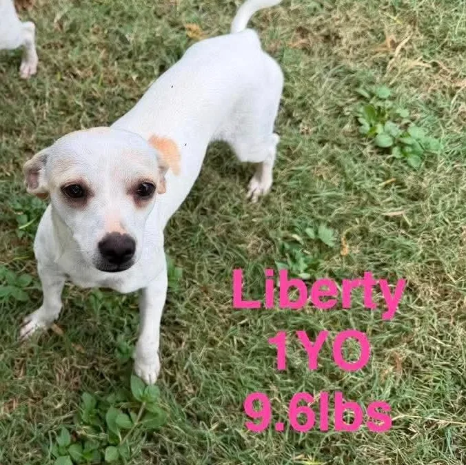 Libery