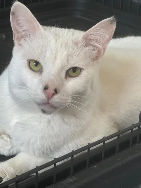 Warner “tv Guru” thumbnail 5