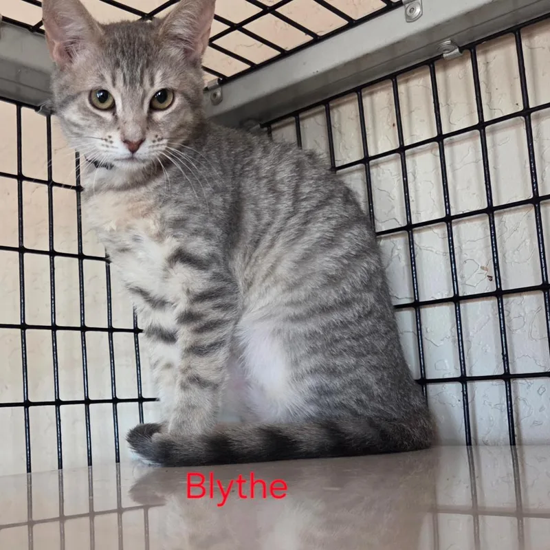 Blythe