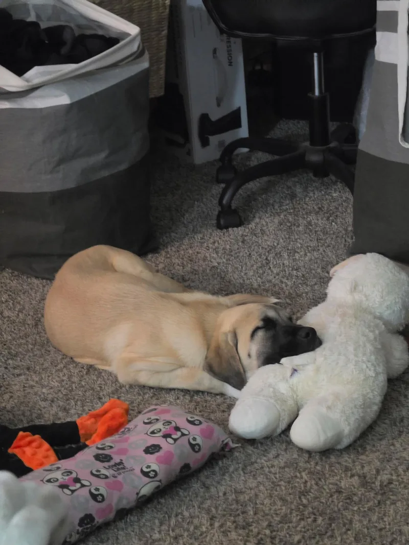 Winnie thumbnail 2