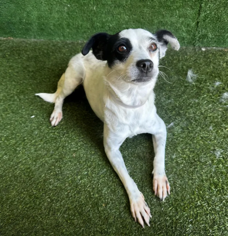 Jilly Jelly Bean!! thumbnail 2