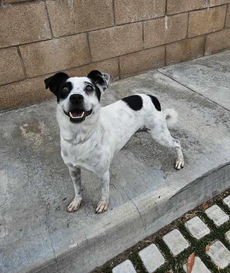 Jilly Jelly Bean!! thumbnail 3