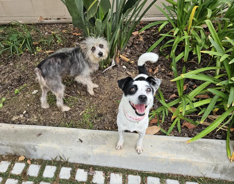 Jilly Jelly Bean!! thumbnail 5