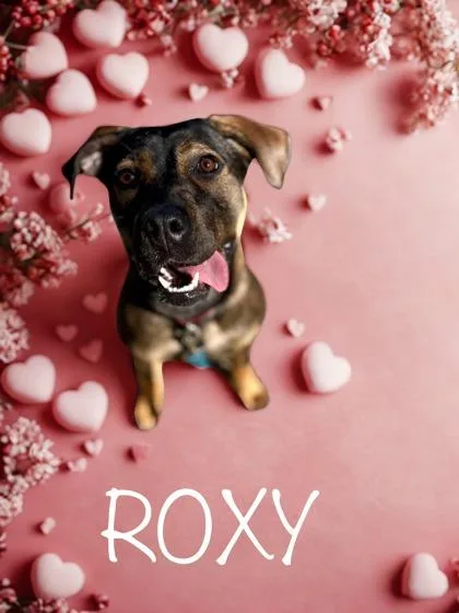 Roxy
