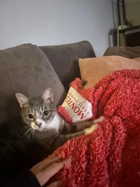 Millie And Milo  thumbnail 2