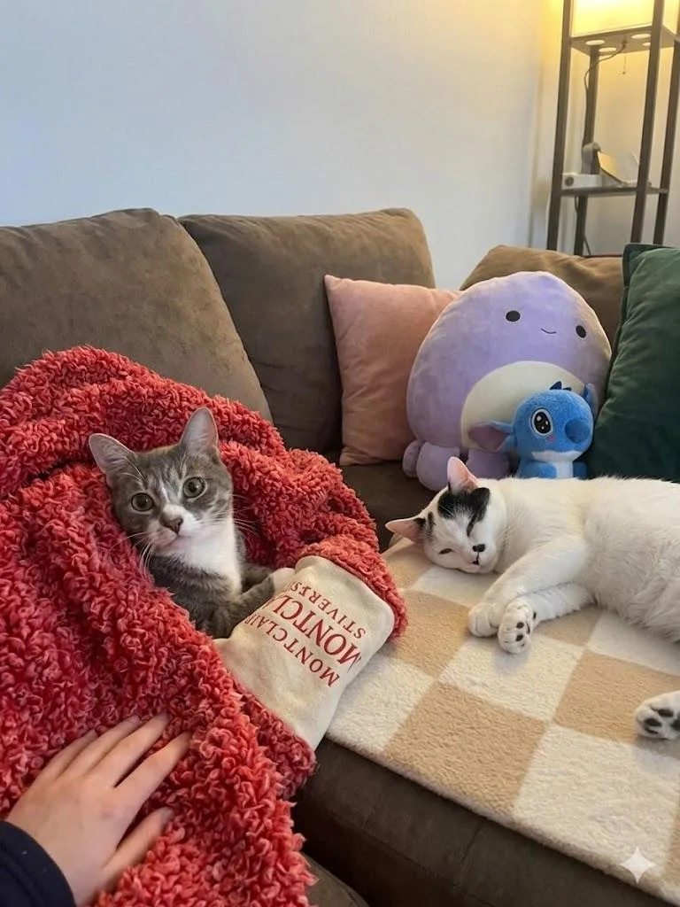 Millie And Milo  thumbnail 5