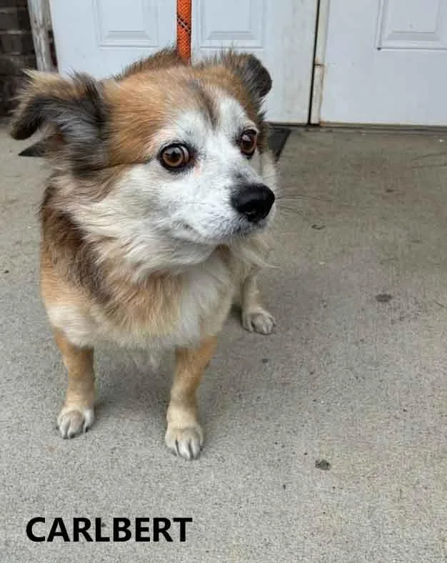 Carlbert