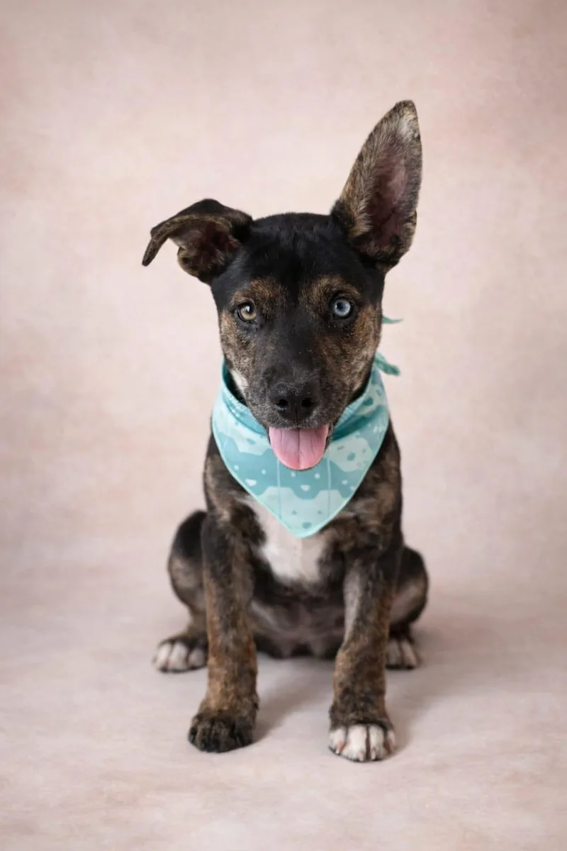 Reeses Piece thumbnail 4