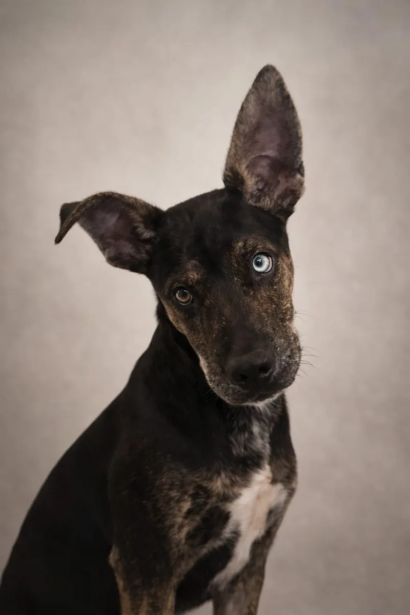 Reeses Piece thumbnail 6