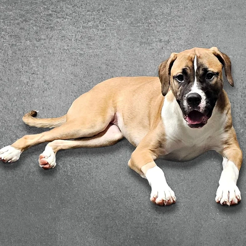 Brooklyn thumbnail 2