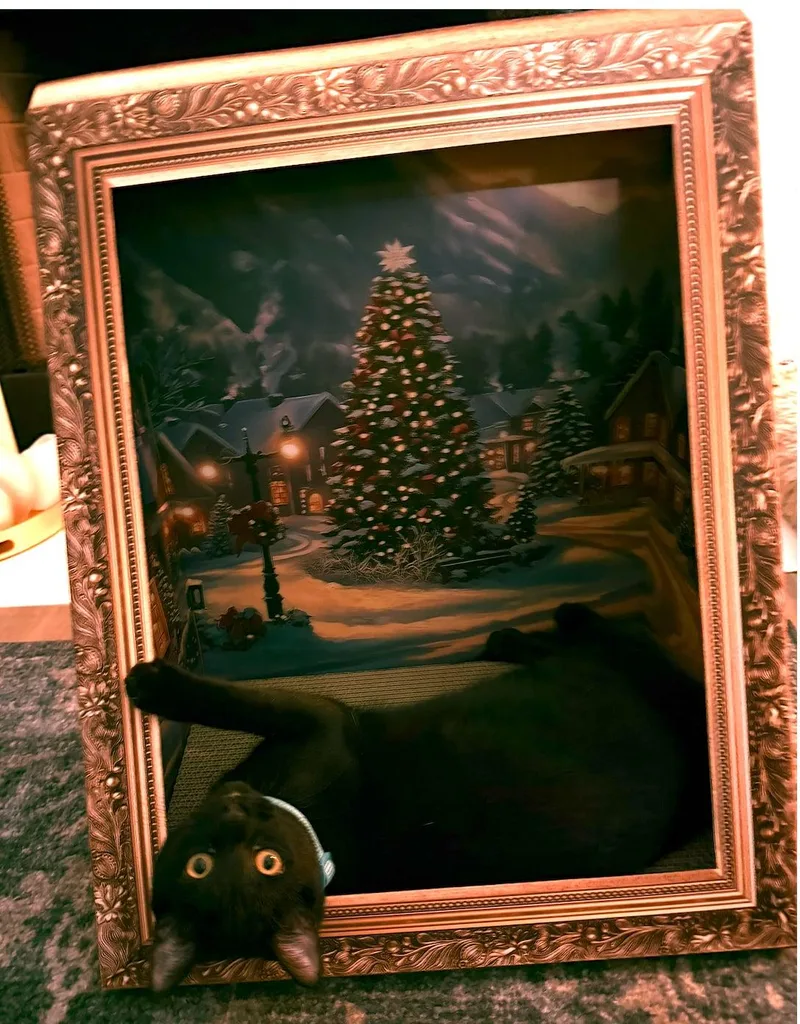 Shalamar thumbnail 3