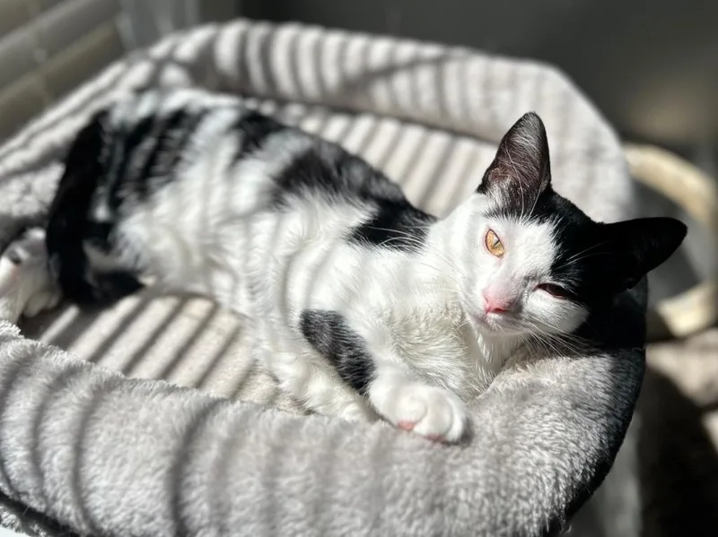 Reba Mcentire thumbnail 3