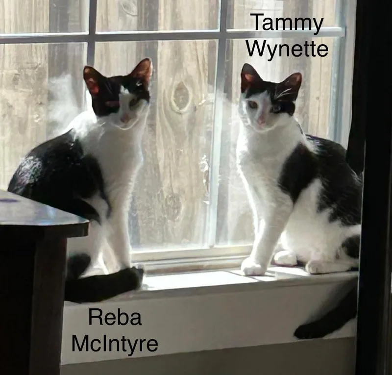 Reba Mcentire thumbnail 5