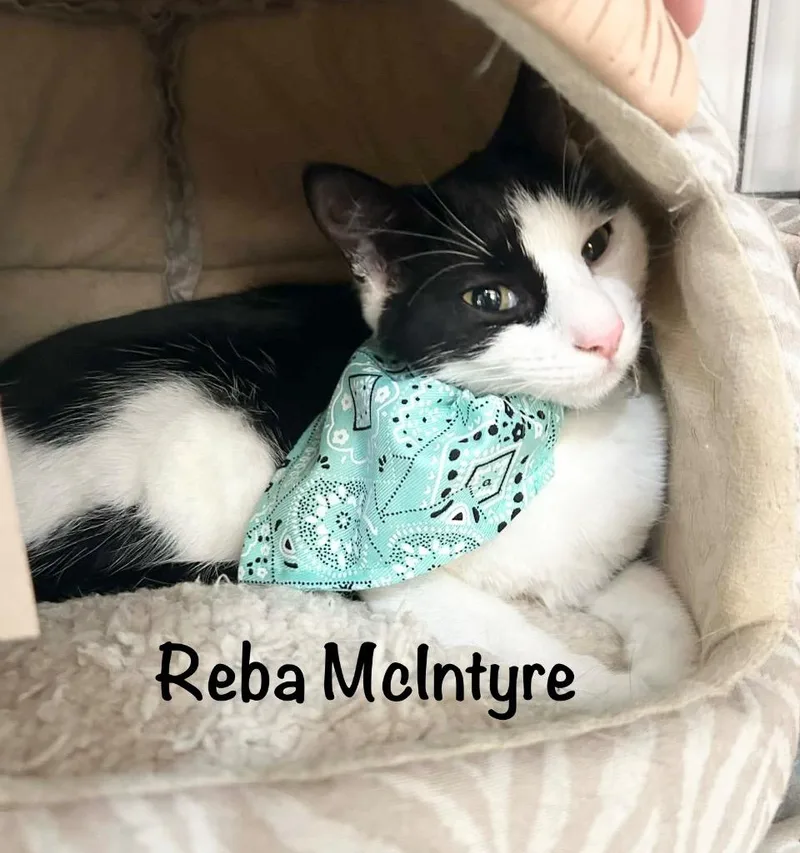 Reba Mcentire thumbnail 6