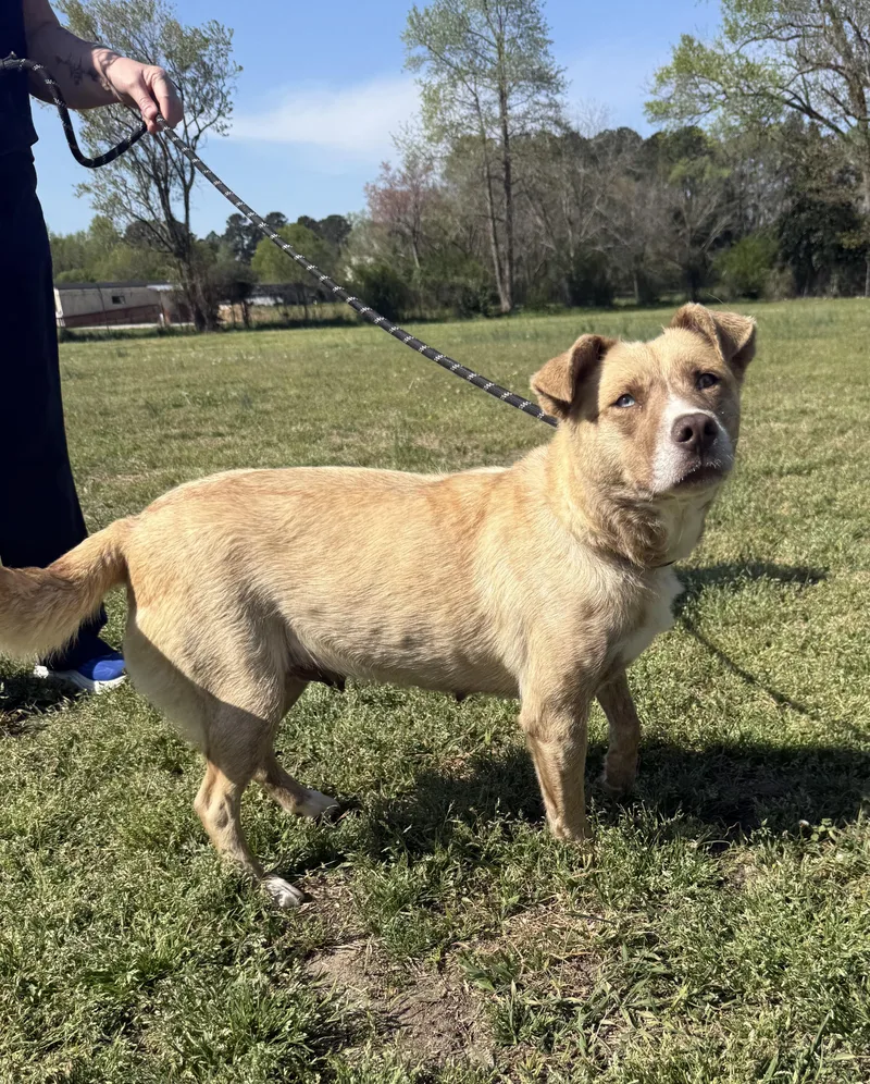 Livvy This Is My thumbnail 4