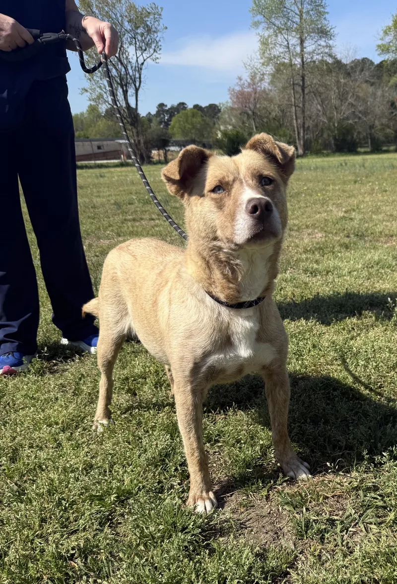 Livvy This Is My thumbnail 5