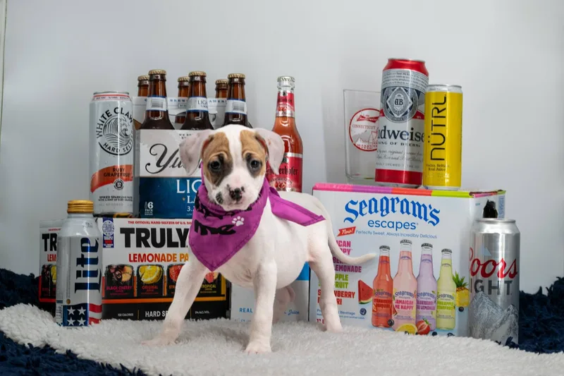Seagrams thumbnail 3