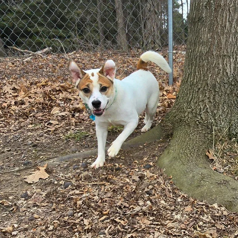 Sally Sue thumbnail 3