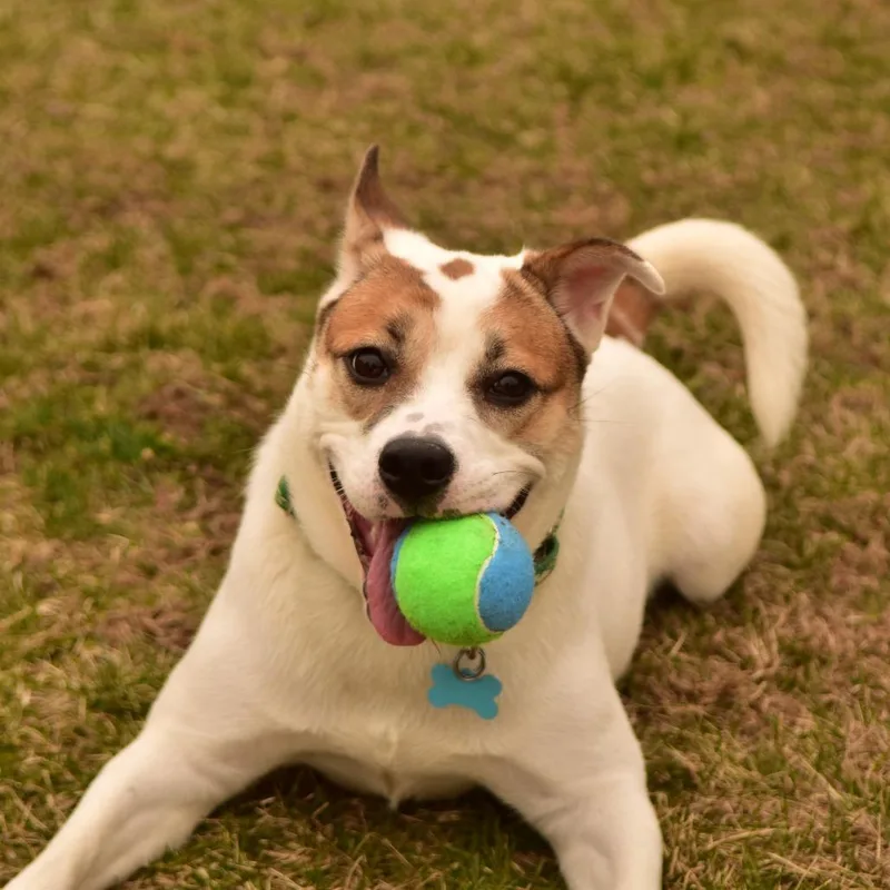 Sally Sue thumbnail 5