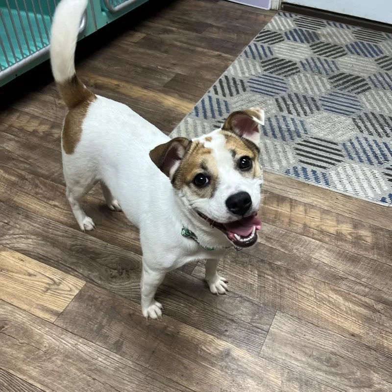 Sally Sue thumbnail 6