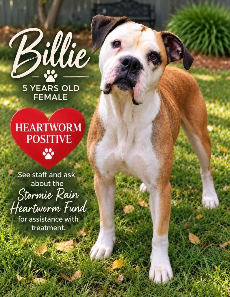 Billie