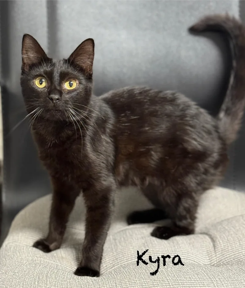 Kyra