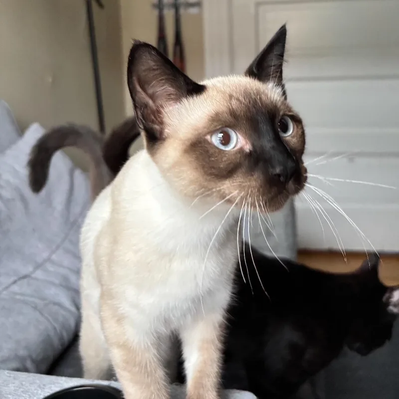 Sonny thumbnail 3