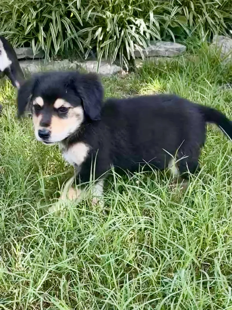 Winnie