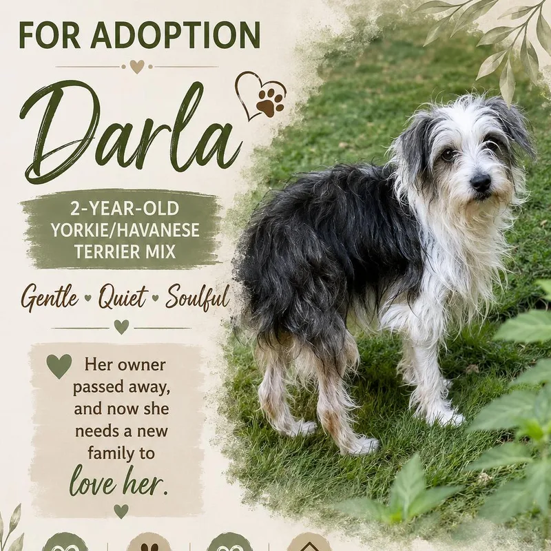 Darla