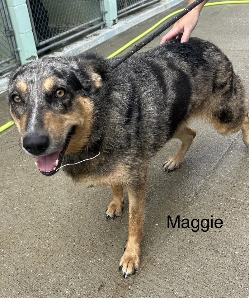 Maggie