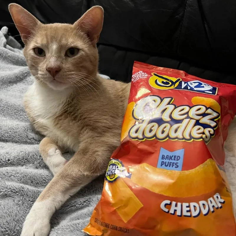 Cheez Doodle thumbnail 6