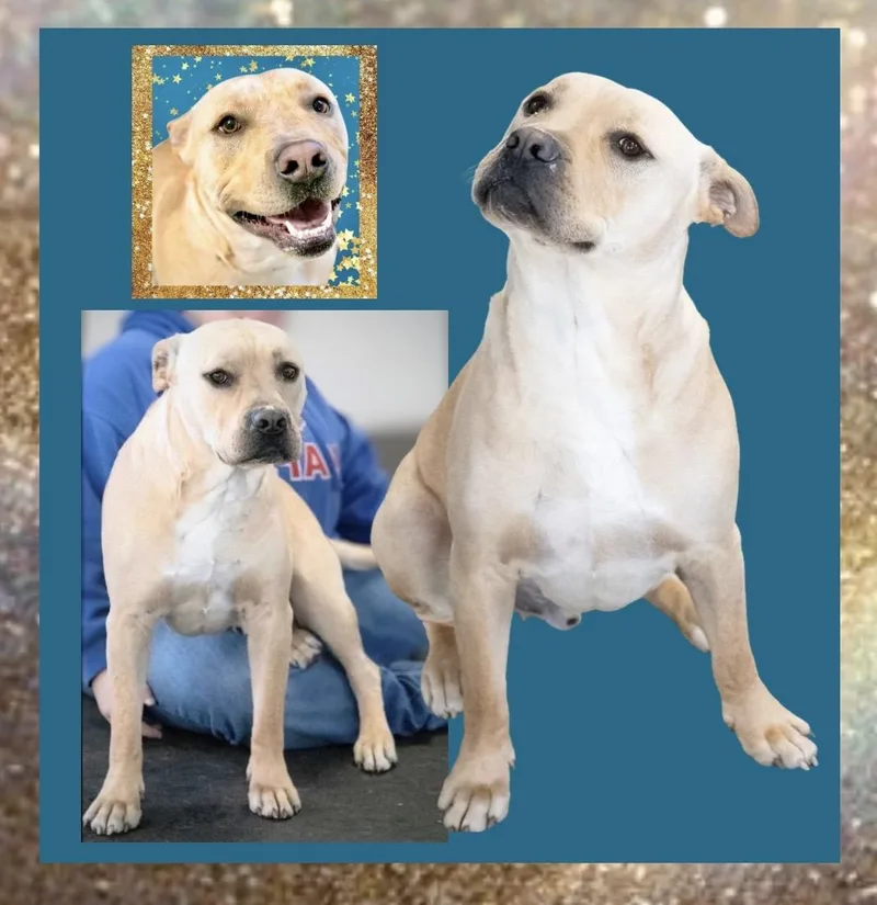 Jeremy Chubbs thumbnail 3