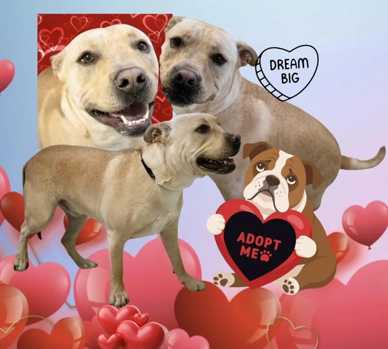 Jeremy Chubbs thumbnail 4