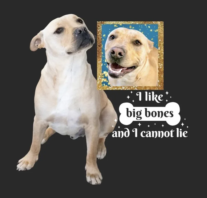 Jeremy Chubbs thumbnail 5