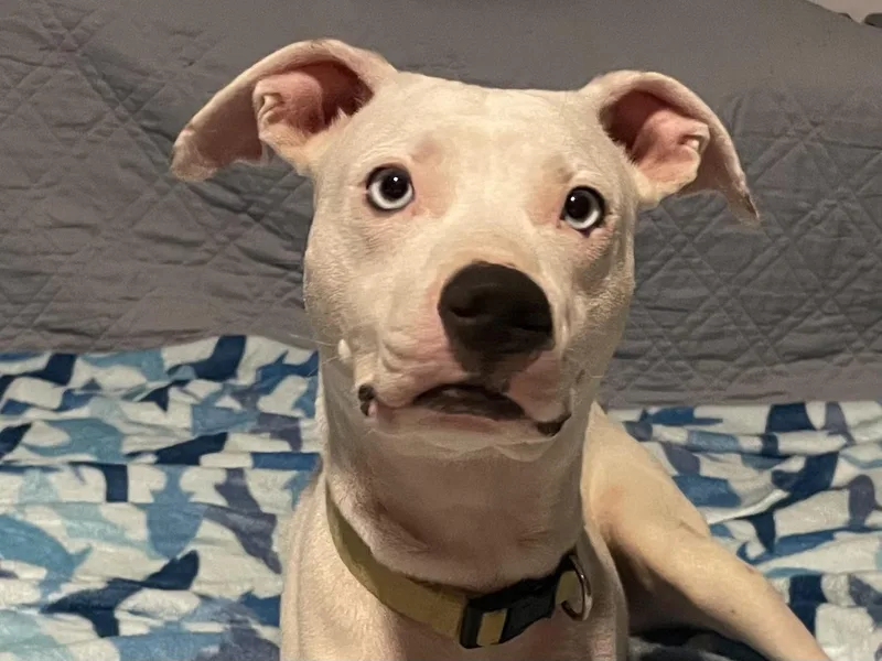 Charlize thumbnail 3