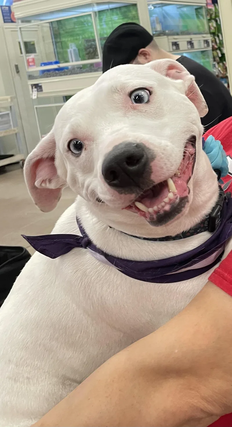 Charlize thumbnail 6