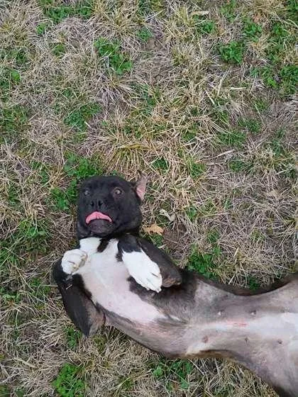 Miss Sparkles thumbnail 2