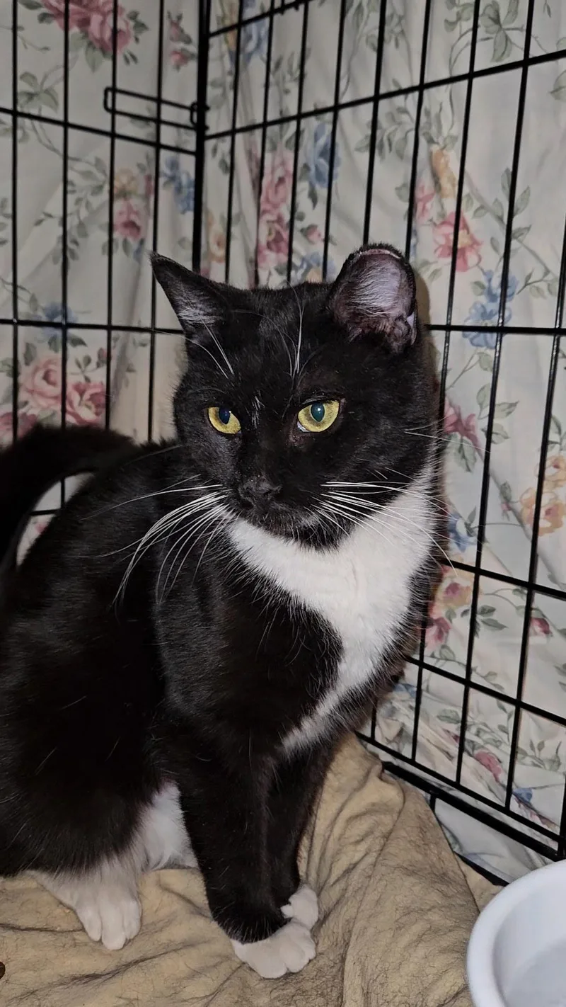 Darby N  Sweet thumbnail 2