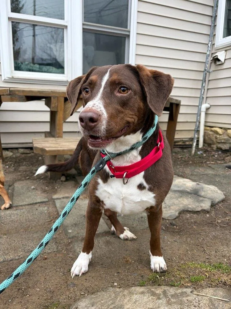 Sally Aka Spunky Sully thumbnail 2