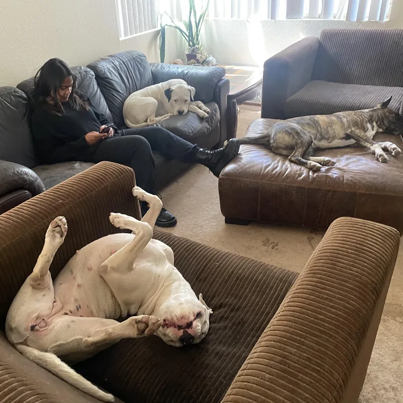 Harley & Luna thumbnail 4