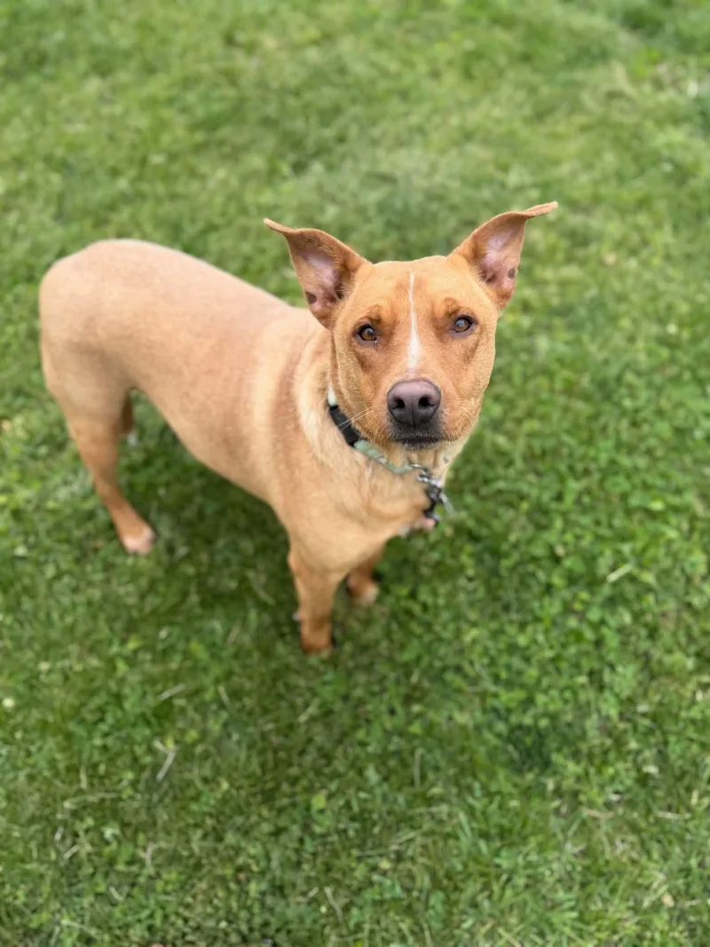 Max