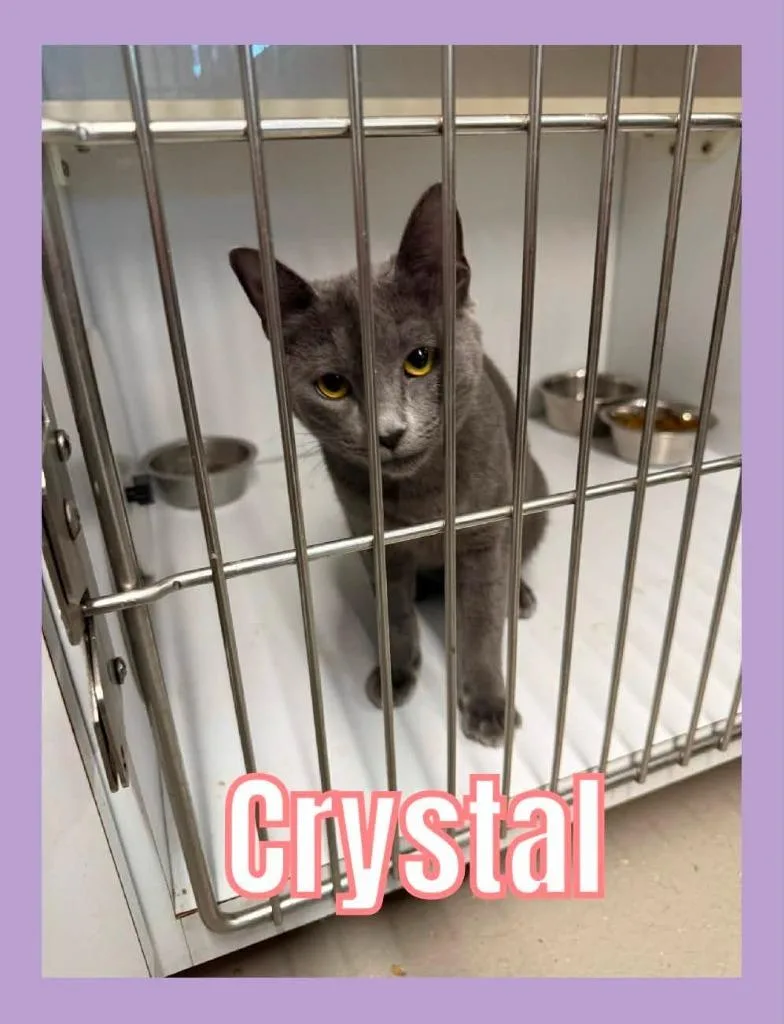 Crystal thumbnail 2