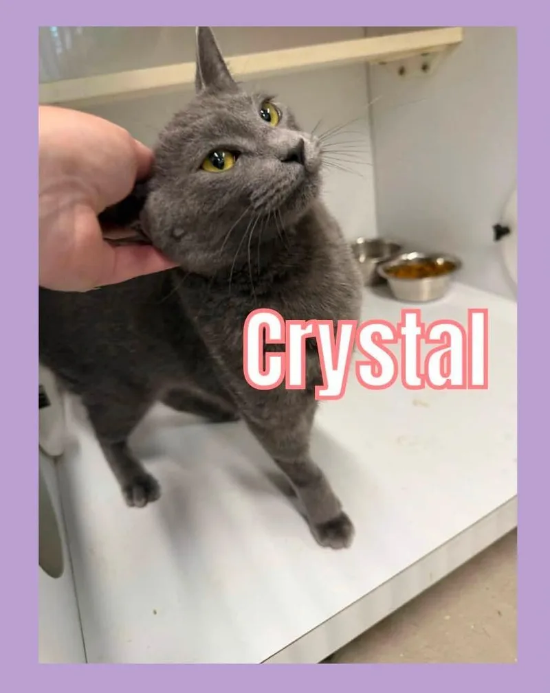 Crystal thumbnail 3