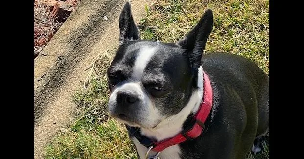 Rosie Marie Prattville 