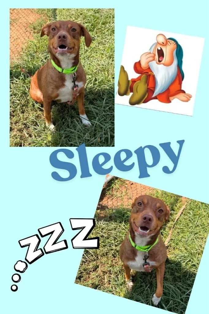 Sleepy