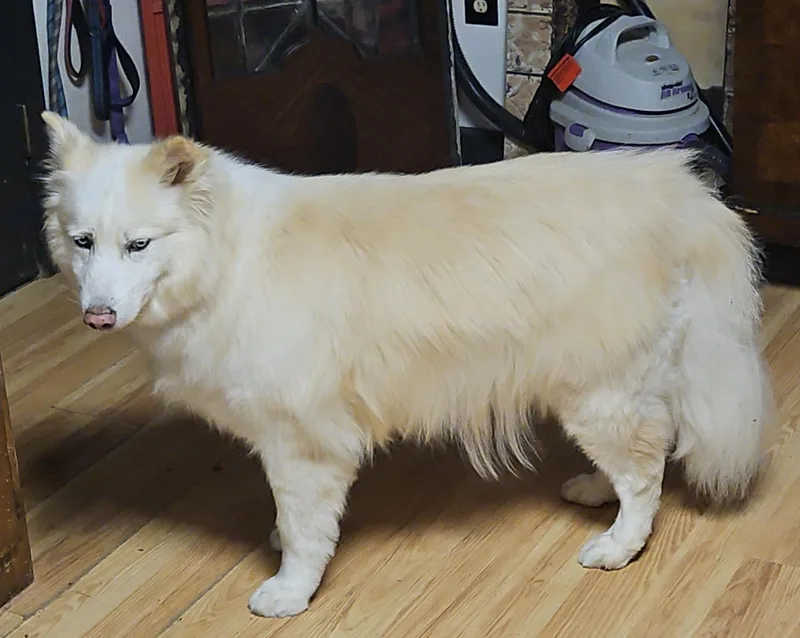 Sam thumbnail 2