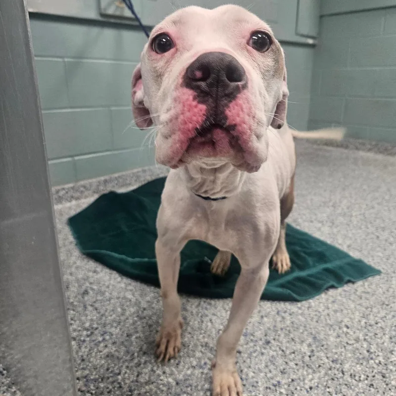 Charlotte thumbnail 2