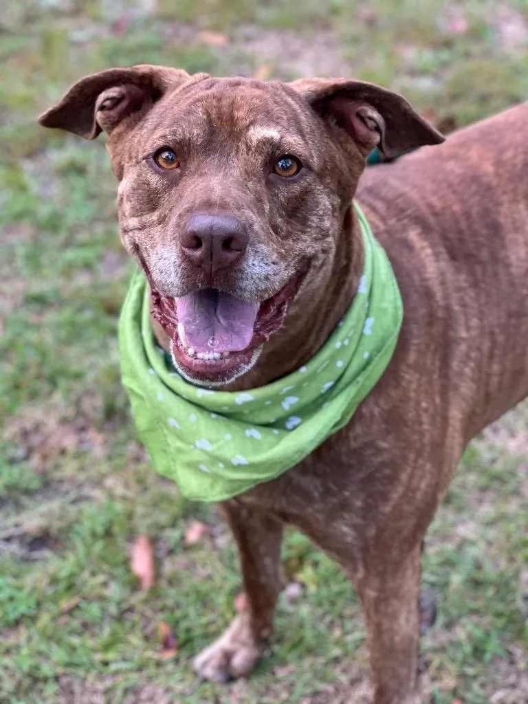 Ruby  Judy thumbnail 2